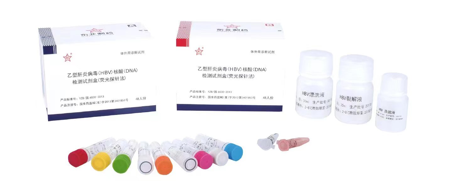 乙型肝炎病毒（HBV）核酸（DNA）检测试剂盒（荧光探针法）